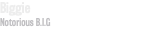 Biggie Notorious B.I.G